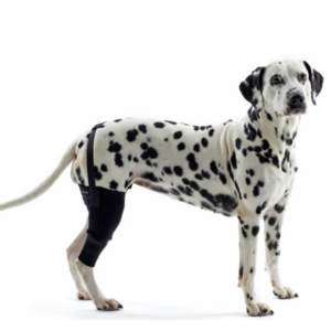 Protetor de Joelho Direito