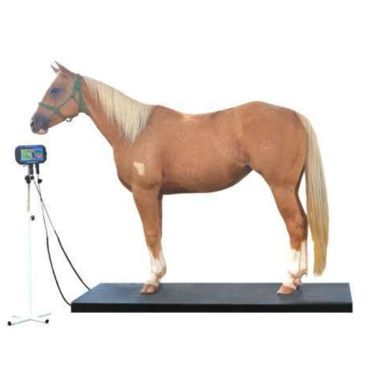 Balança Digital Vet. p/ Equinos