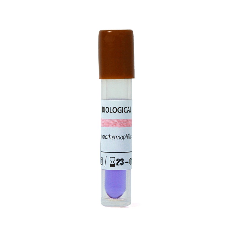 Indicador Biológico 24h Vapor C/10