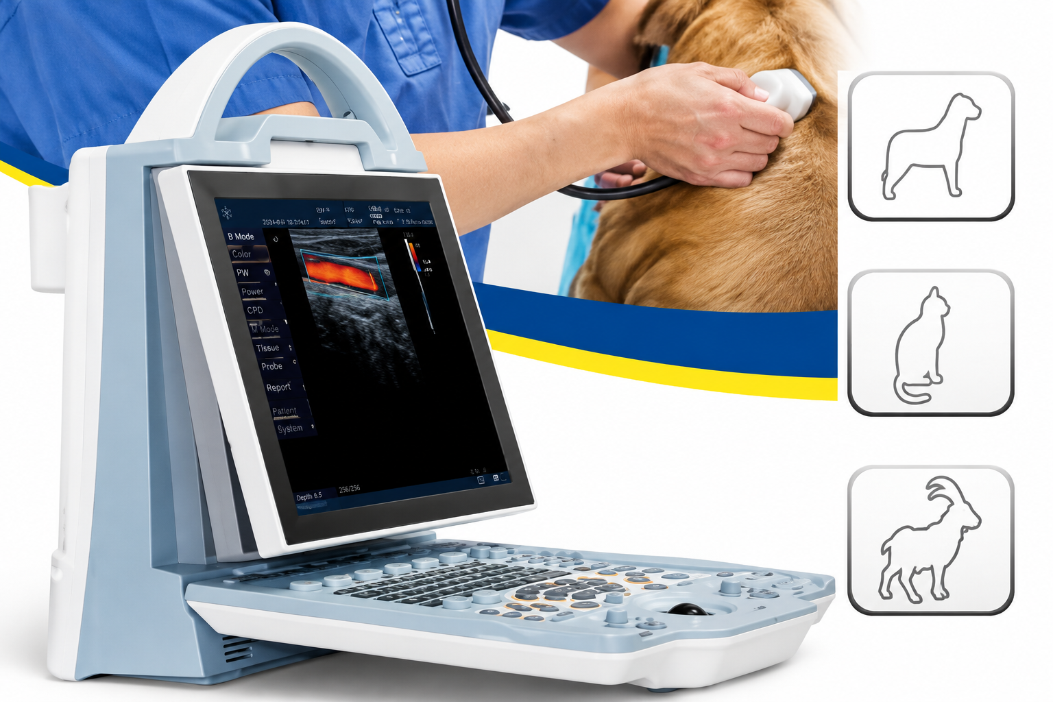 Ultrassom Veterinário MSLCU23 C/ 2 Transdutores